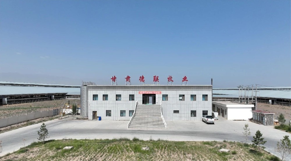 創(chuàng)新驅(qū)動發(fā)展，打造奶業(yè)新標(biāo)桿