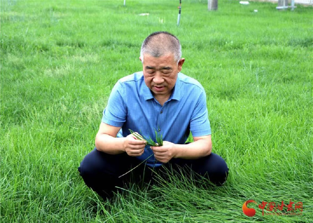 微信圖片_20250331090416.jpg